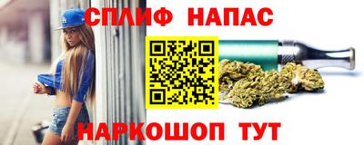 a pvp Дубна