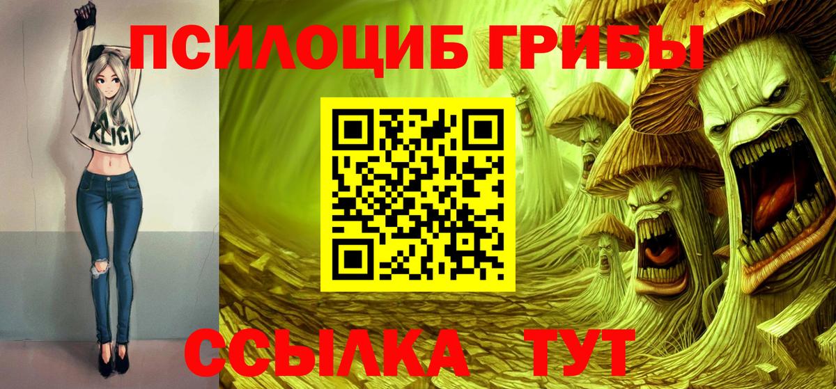Гудермес  Псилоцибиновые грибы ЛСД  Вход с VPN 